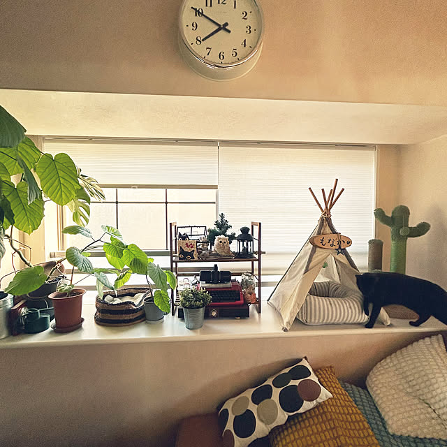 suemonta14さんの実例写真