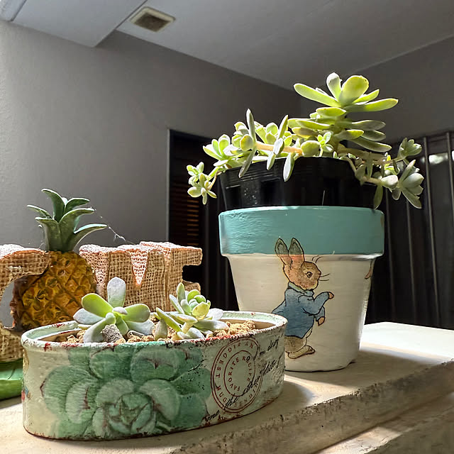 Aqettyさんの部屋