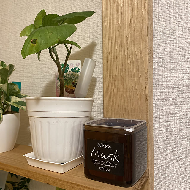 R.S.Kさんの実例写真
