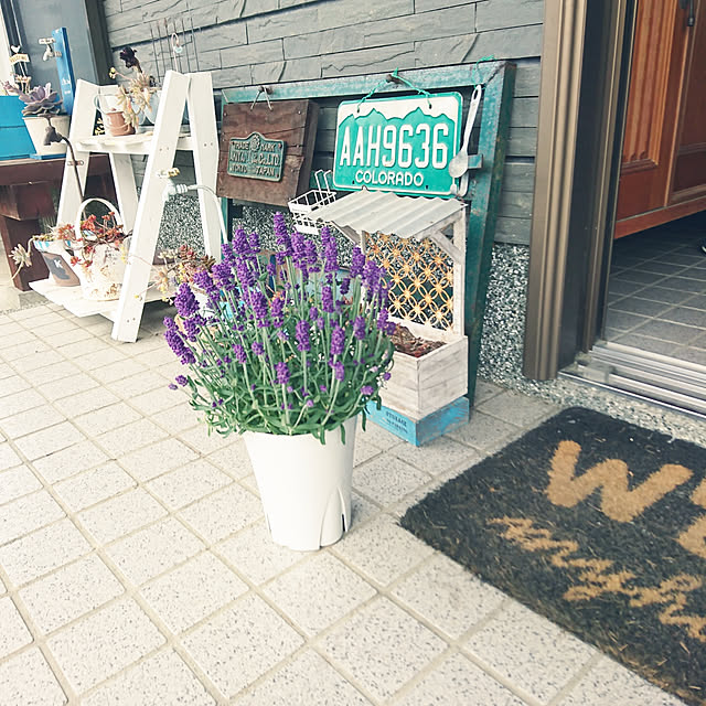 koppeさんの実例写真