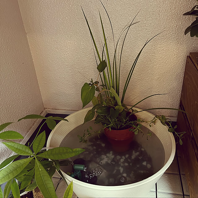 negiさんの実例写真