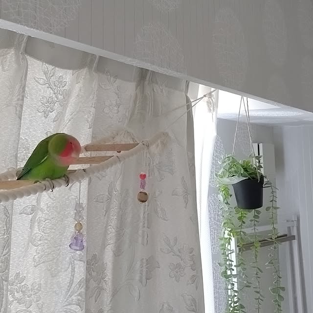 toratanさんの部屋