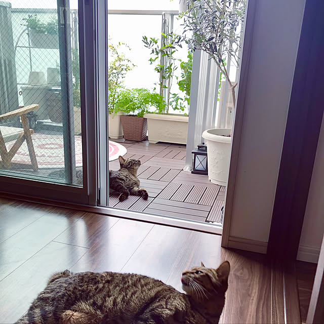 kouさんの実例写真