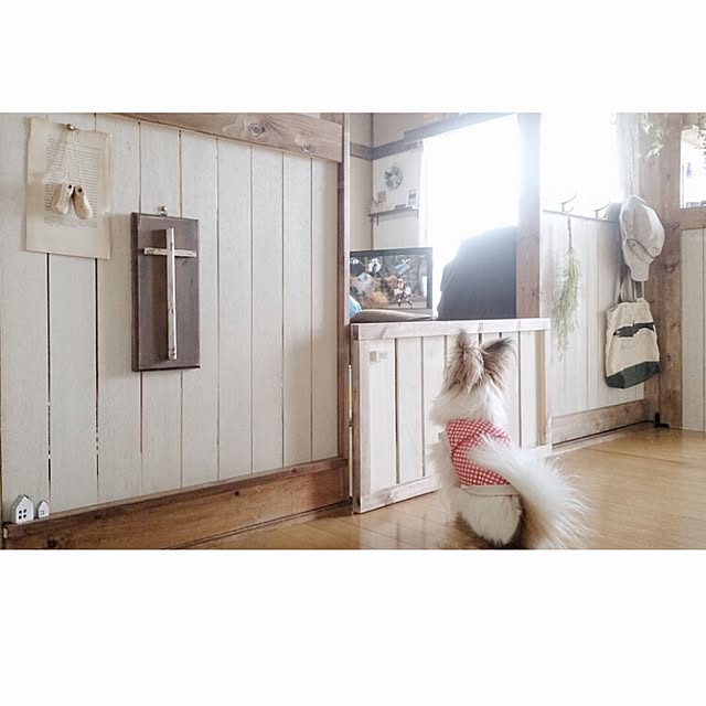 miporin0711さんの実例写真