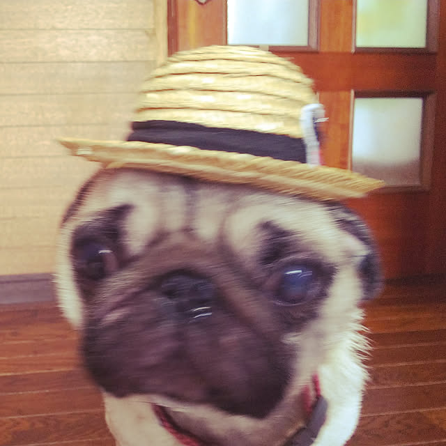 Hiroさんの実例写真