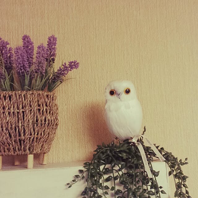 Naomiさんの実例写真