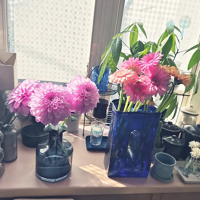 ninaさんの実例写真