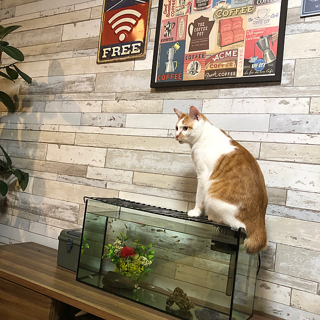 miyupannaさんの部屋