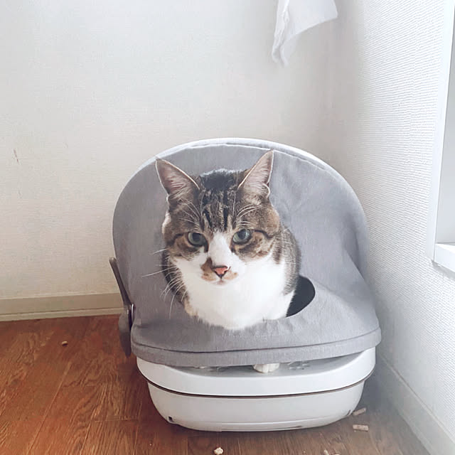 necomaru.comさんの実例写真