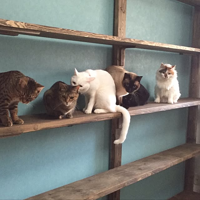 mkakk901さんの実例写真