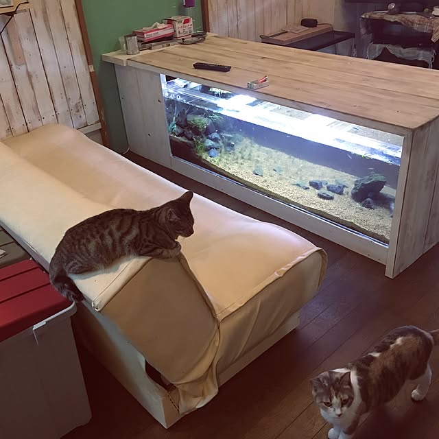 noboru_9さんの実例写真