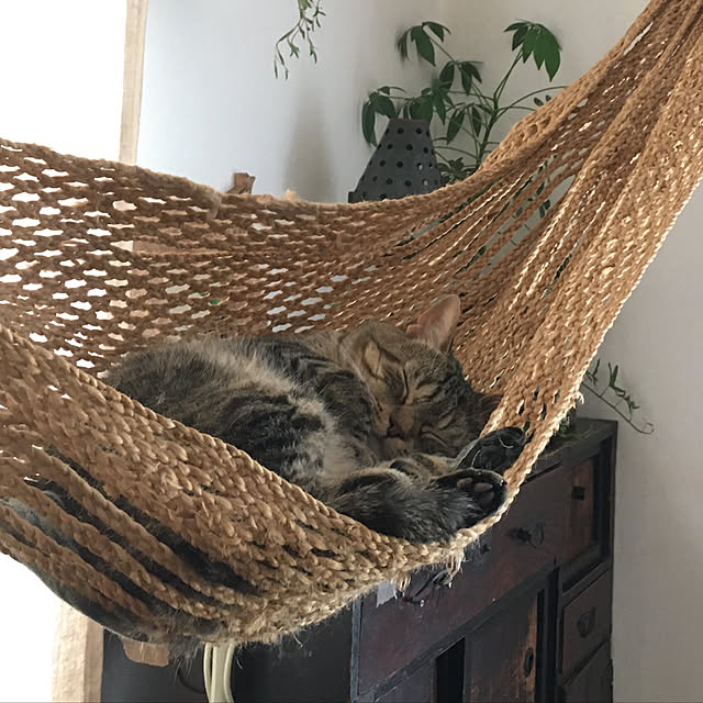 kuuさんの実例写真