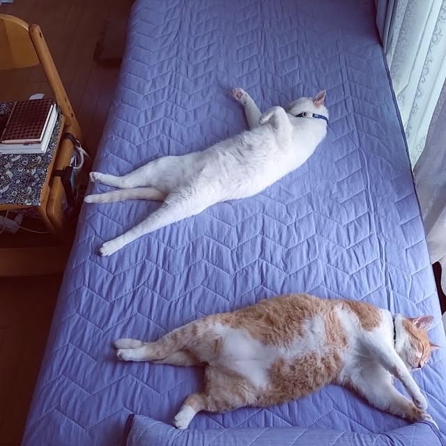 NOAHさんの部屋