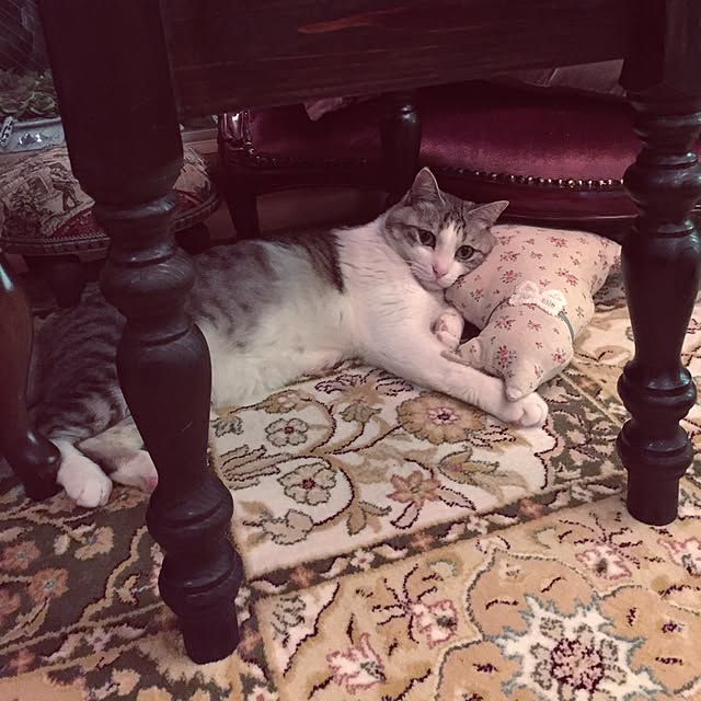 emmyyさんの実例写真