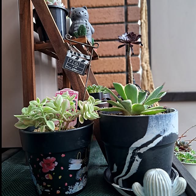 noaさんの部屋