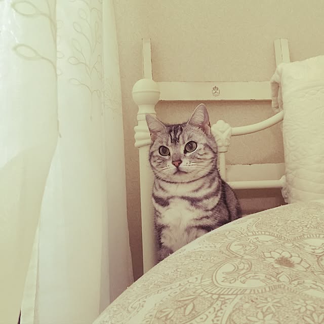 m.cocogardenさんの実例写真