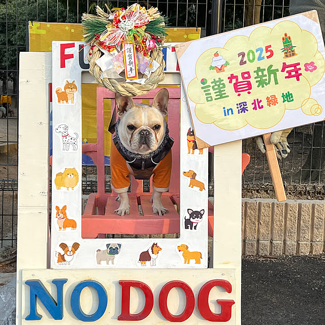 Inarichinさんの実例写真
