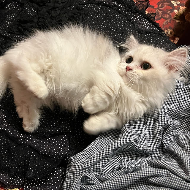 AYUKOさんの実例写真