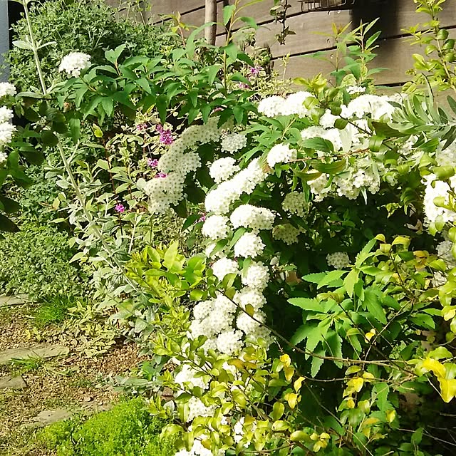 Yoshihiroさんの実例写真