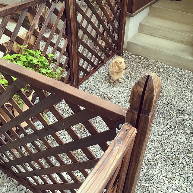 yukariさんの実例写真