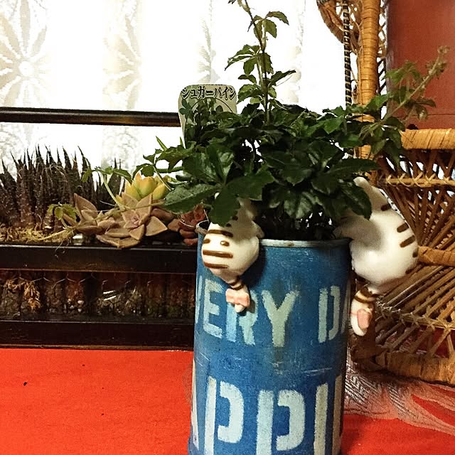moririnさんの実例写真