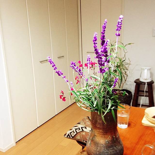 nozomiyaさんの実例写真