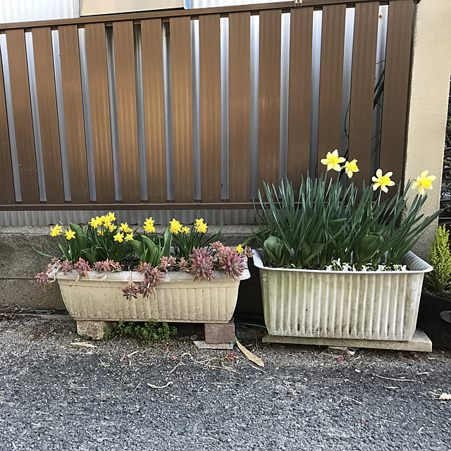 yoshie1197さんの実例写真