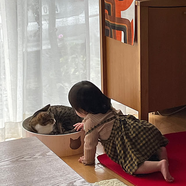nobikoさんの部屋