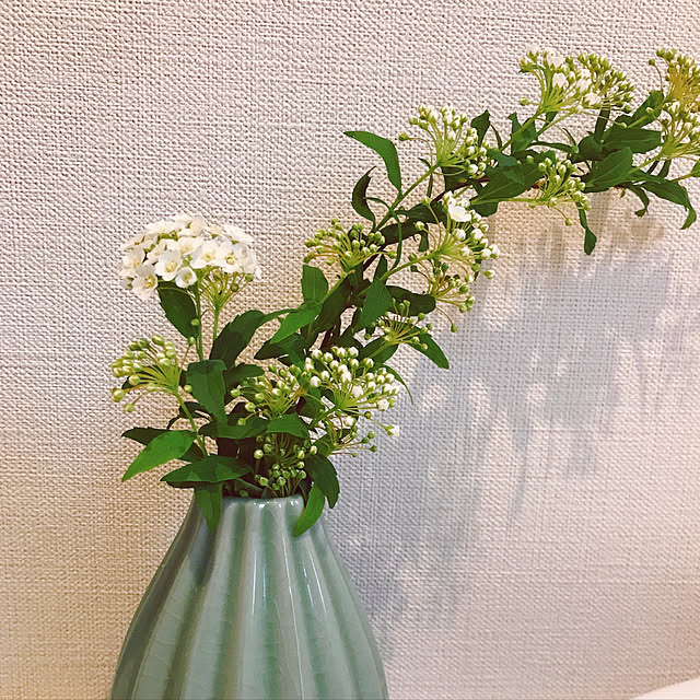 springbreezeさんの実例写真