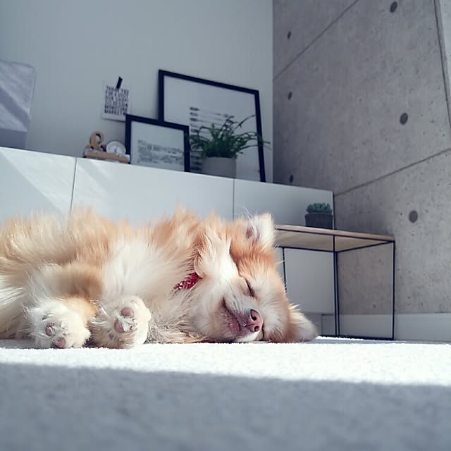 mi-さんの実例写真