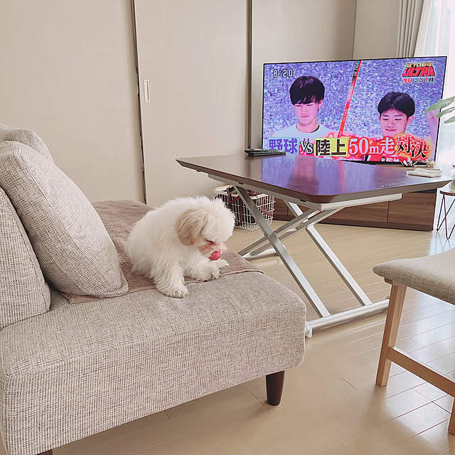 kuruMiさんの実例写真
