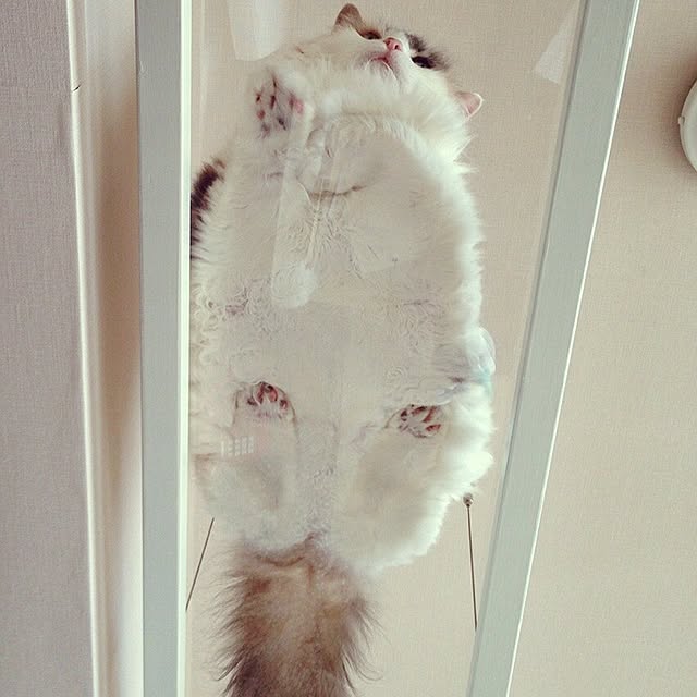 6さんの実例写真