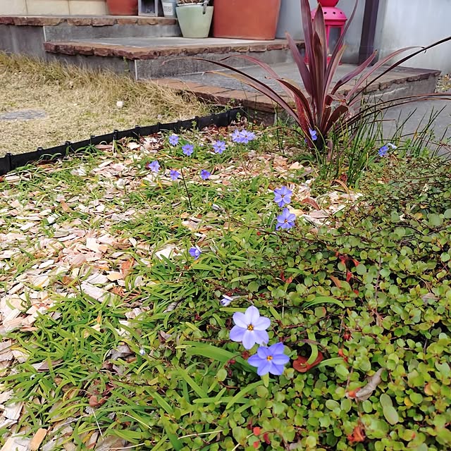 urchinさんの部屋