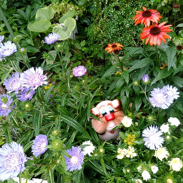 shoko0420さんの実例写真