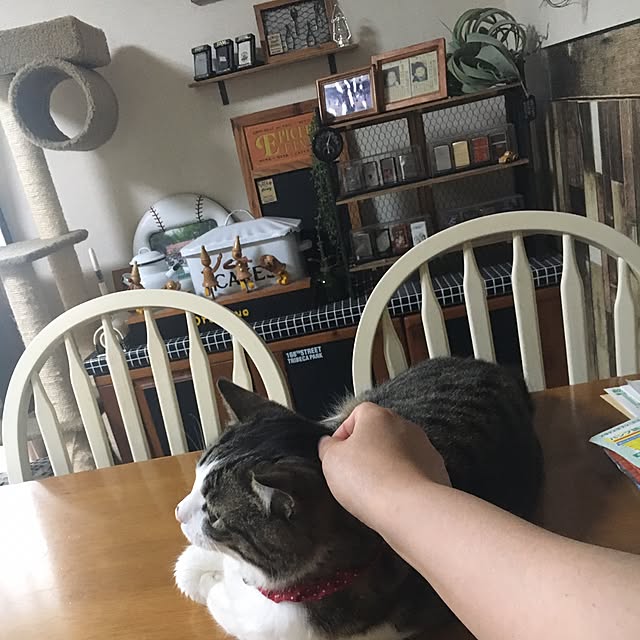 Rumiさんの実例写真