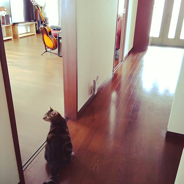 mairin318さんの実例写真