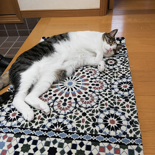 hasechangさんの実例写真