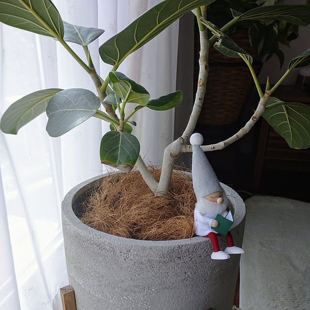 makotomosukeさんの実例写真