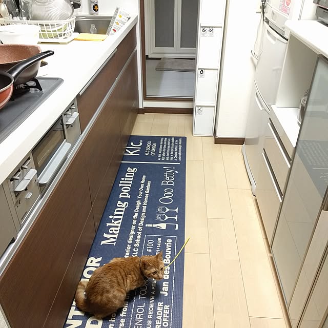 sykesさんの実例写真