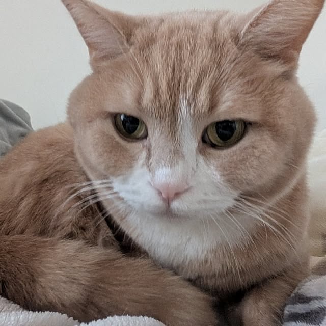 Umaさんの実例写真