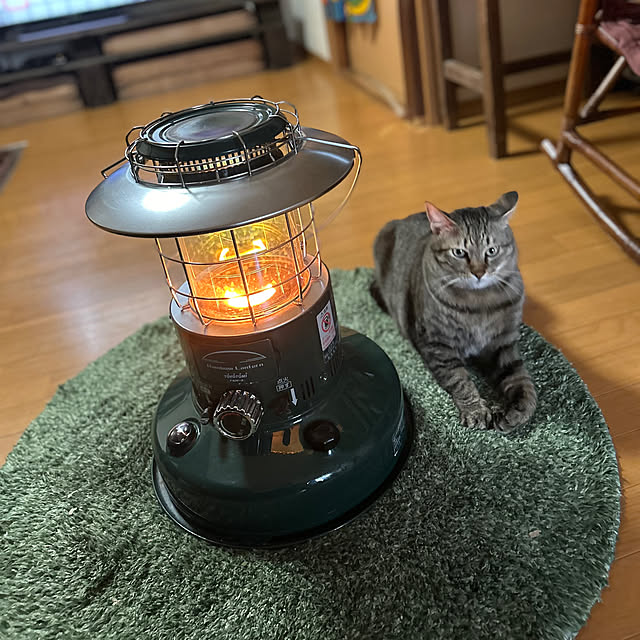 mikan161さんの実例写真
