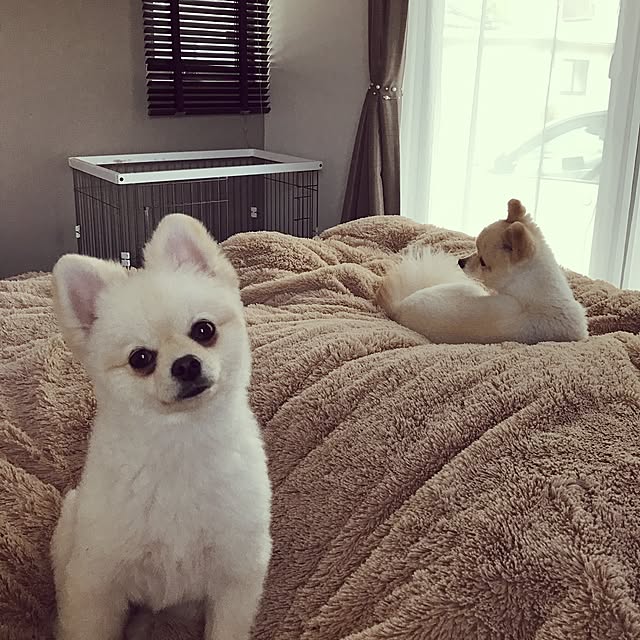 kinakoさんの実例写真