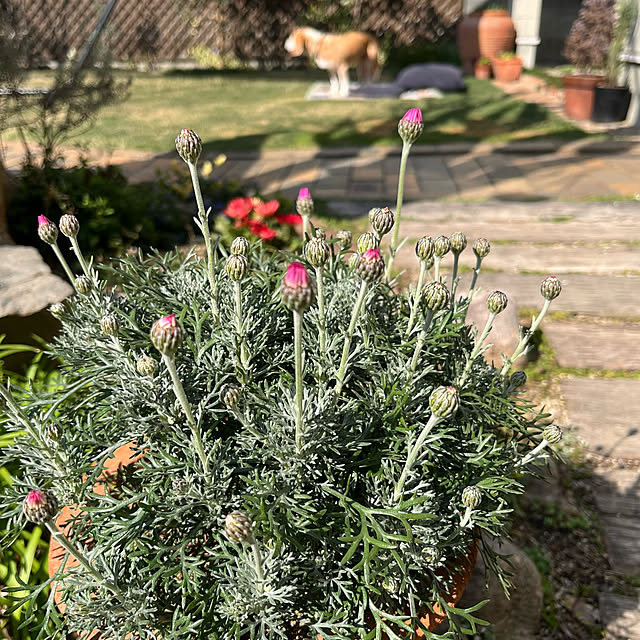 kuuさんの実例写真