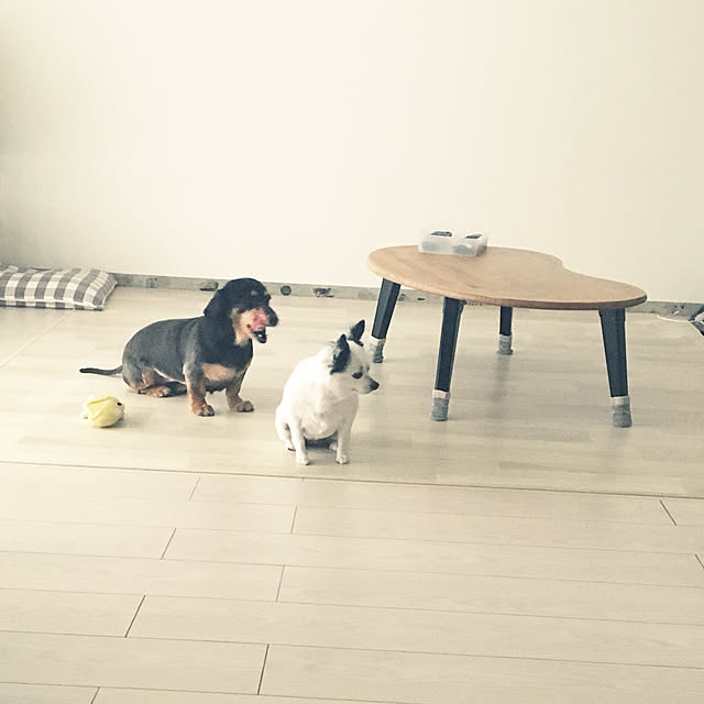 ohanaさんの実例写真