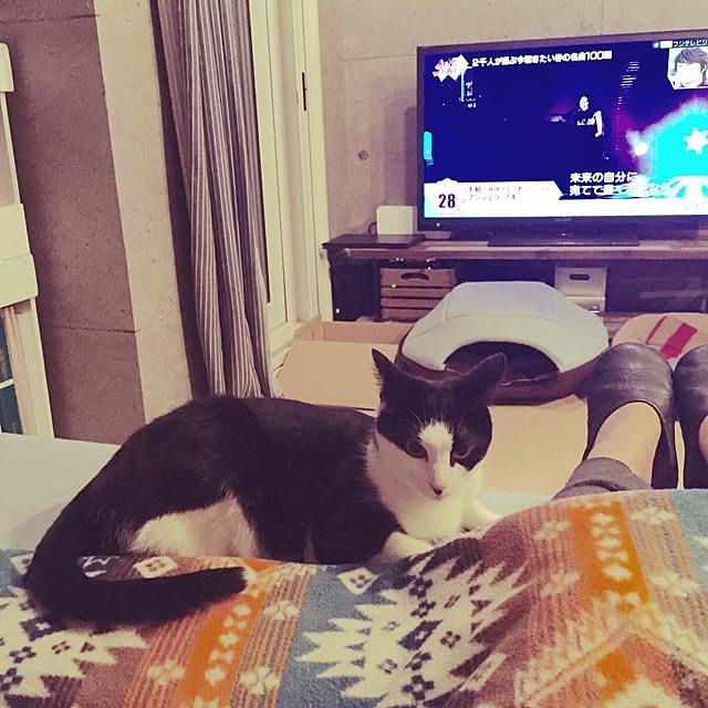 ziziguguさんの実例写真