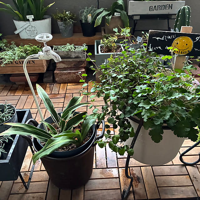 cagosukiさんの実例写真