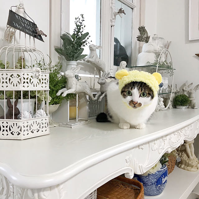 yuchiさんの実例写真