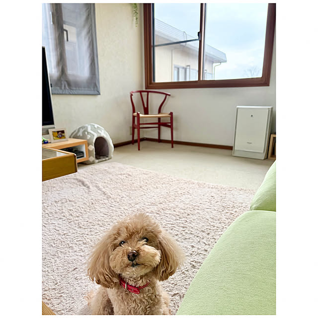 chaimomさんの部屋