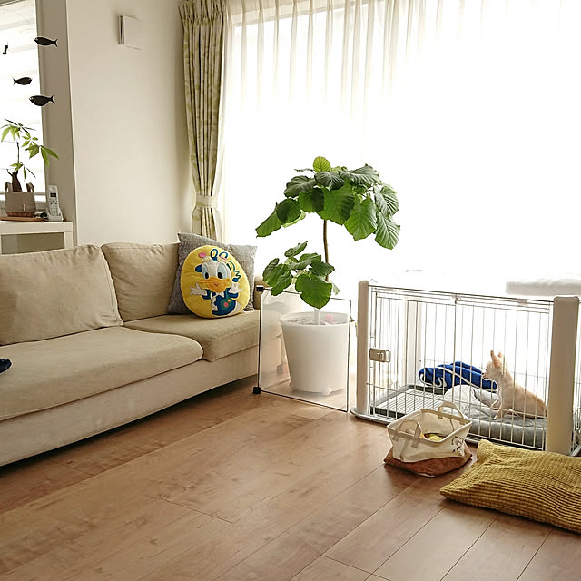 __home_m.さんの実例写真