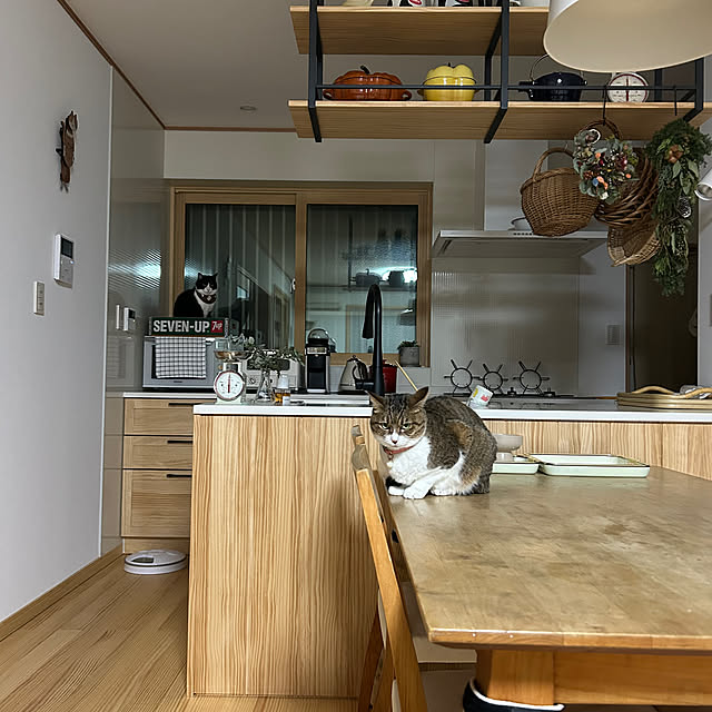 haruさんの実例写真